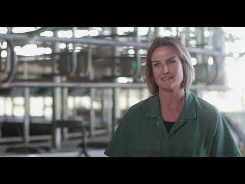 Pestivirus: The silent killer in dairies: Dr. Claire Flanagan. NSW Cattle Vet