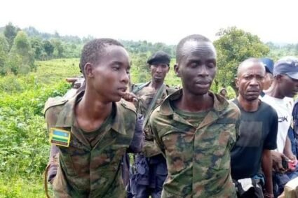 Combats FARDC_RDF au Nord Kivu : Trois rebelles du M23 se rendent aux FARDC à Kabizo avec des armes