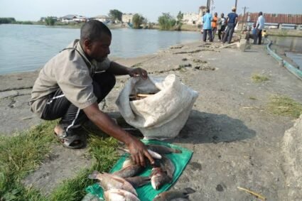 Journée mondiale du poisson: les pêcheurs de l’Ituri face à plusieurs défis dans leur secteur