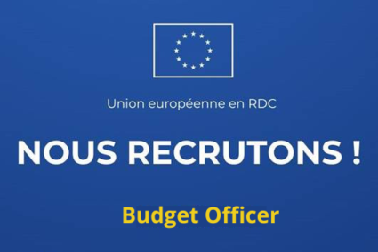 Offres d’emploi : l’Union européenne recrute un(e) Budget Officer en République démocratique du Congo