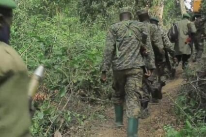 RDC-Ouganda : Renforcement de la coopération militaire contre les ADF
