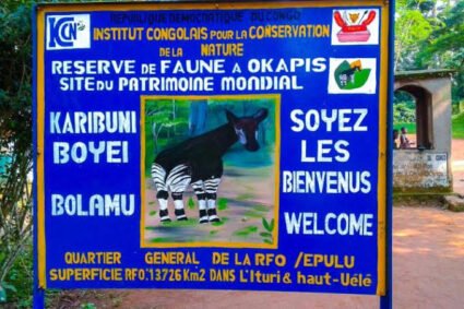 Envahissement du site touristique de la RFO : Un patrimoine mondial hébergent l’Okapi en péril